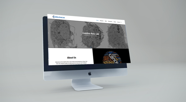 Diseño de paginas web, tiendas virtuales, carritos de compras, landing pages, fernando castellar